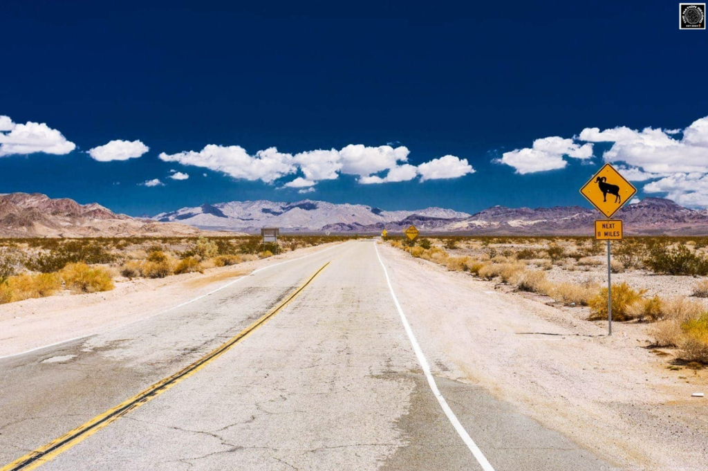 Unforgettable Journeys: 5 Unique Roads That Will Leave You Speechless